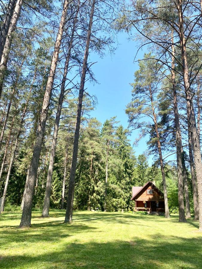 Вилла Rojaus Slenis Друскининкай Экстерьер фото