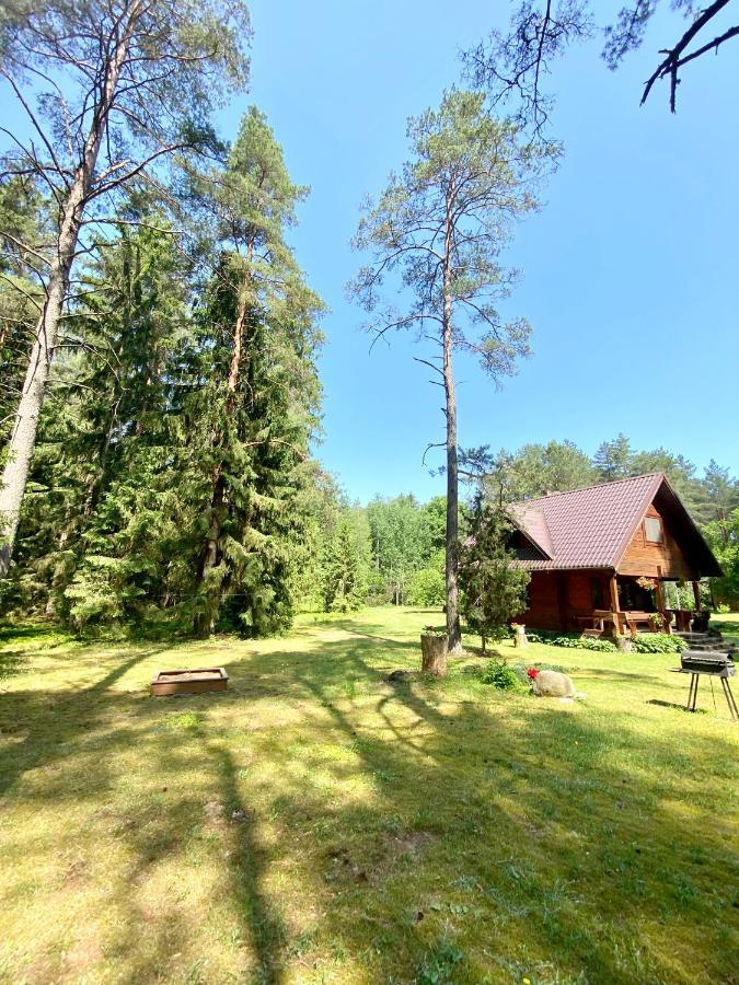 Вилла Rojaus Slenis Друскининкай Экстерьер фото
