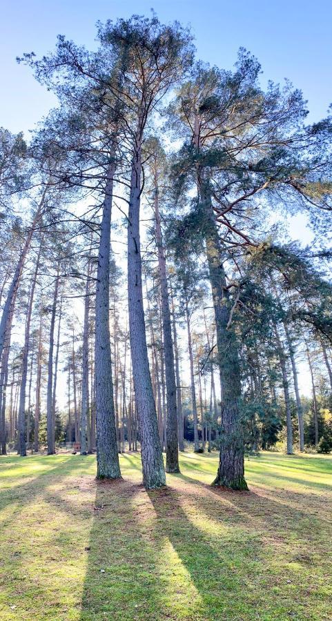Вилла Rojaus Slenis Друскининкай Экстерьер фото