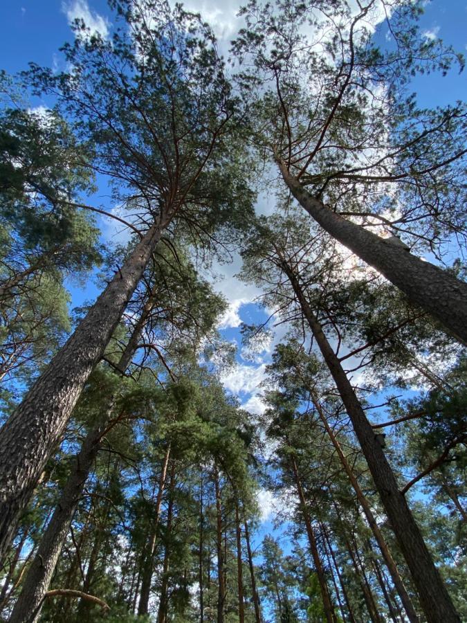 Вилла Rojaus Slenis Друскининкай Экстерьер фото