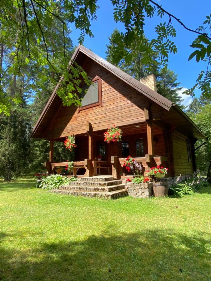 Вилла Rojaus Slenis Друскининкай Экстерьер фото