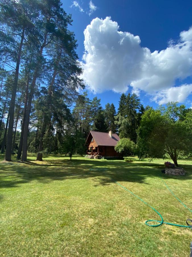 Вилла Rojaus Slenis Друскининкай Экстерьер фото