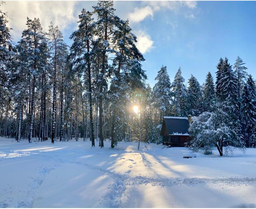 Вилла Rojaus Slenis Друскининкай Экстерьер фото