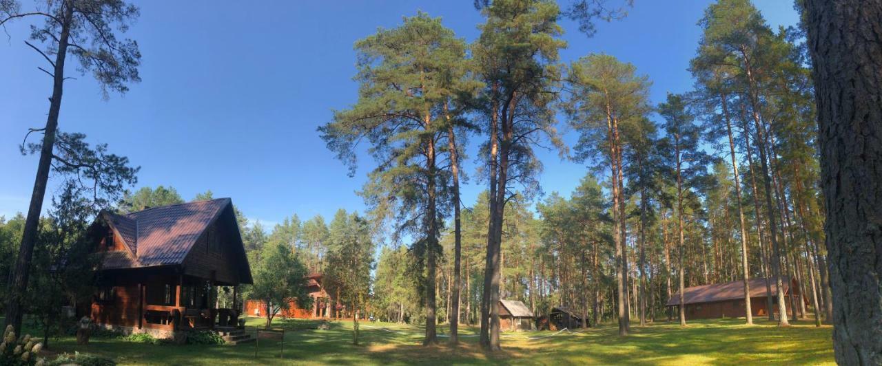 Вилла Rojaus Slenis Друскининкай Экстерьер фото