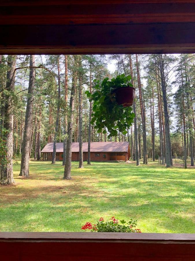 Вилла Rojaus Slenis Друскининкай Экстерьер фото